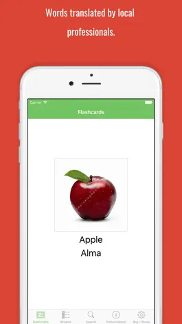 Game screenshot Azerbaijani Flashcards with Pictures Lite mod apk