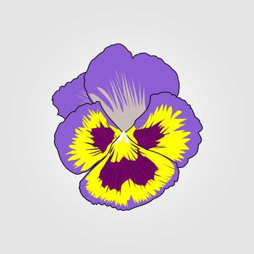 Beautiful Pansies Photostickers Icon