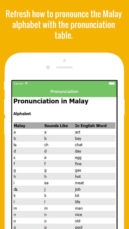 Malay Flashcards with Pictures Lite