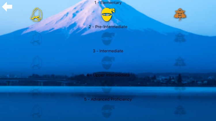 LiRRiL Deluxe screenshot-4