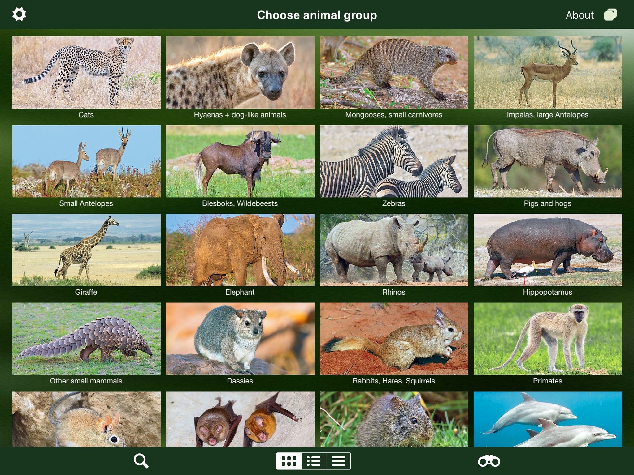 Mammal Guide of Southern Africa screenshot 2