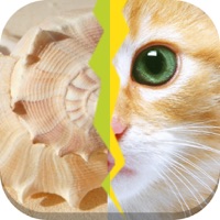 2 Pics 1 Word - Whats the Word?