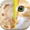 ◉ Can you guess the word