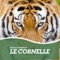 Visit "Le Cornelle" wildlife park