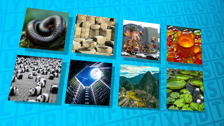 Wordsearch Revealer Big