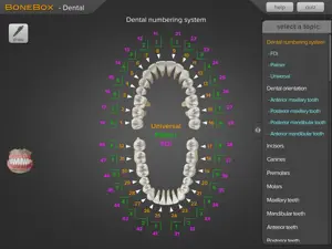 BoneBox™ - Dental Pro screenshot #3 for iPad