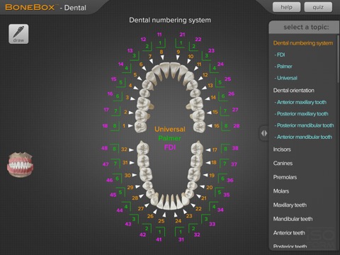 BoneBox™ - Dental Proのおすすめ画像3