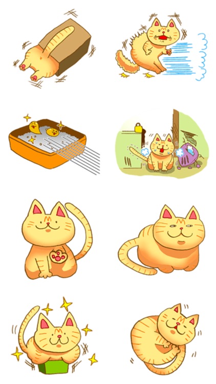 Mur Cat Everyday!
