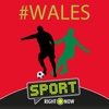 Wales Football