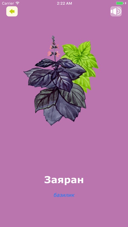 Bilacha screenshot-3