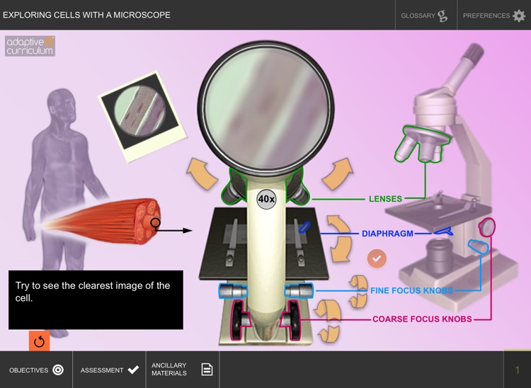 Exploring Cells with a Microscope