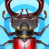 Bugs - キッズゲーム - 森のバグズライフ - 昆虫