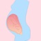 Drug Pregnancy and Lactation allow quick search for FDA pregnancy category and AUS pregnancy category from TGA as well as breastfeeding recommendation of over 600 drug items