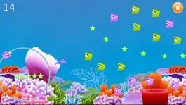 Game screenshot Dolphin YikYak - Swim in the sea collect stars apk