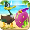 Easter Eggs Hatching Ducks Pets