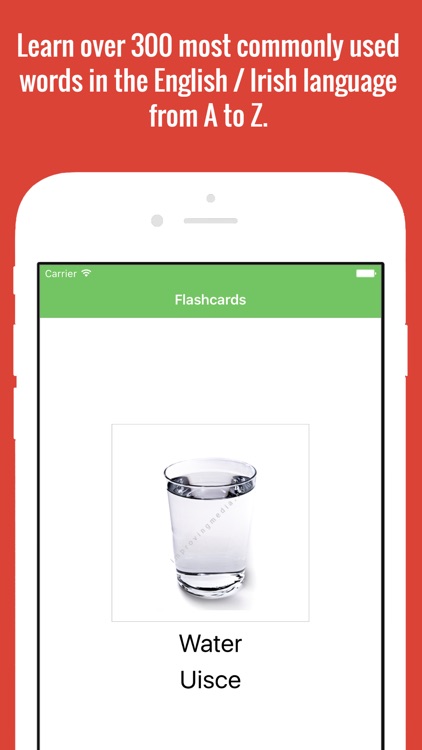 Irish Flashcards with Pictures screenshot-4