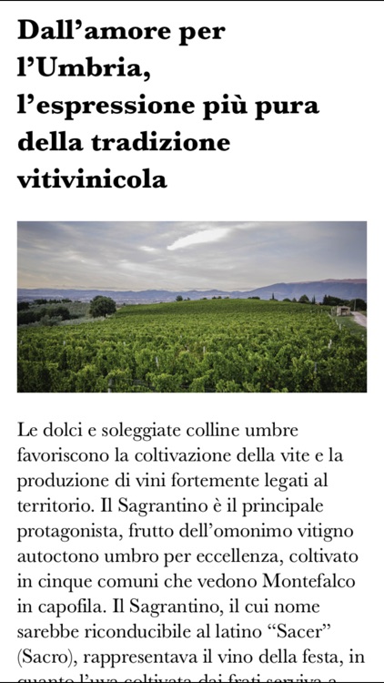 Benedetti & Grigi - Montefalco