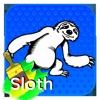 Color and Drawing Sloth