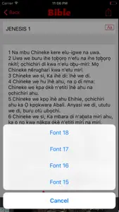 Nigeria Igbo Bible screenshot #2 for iPhone