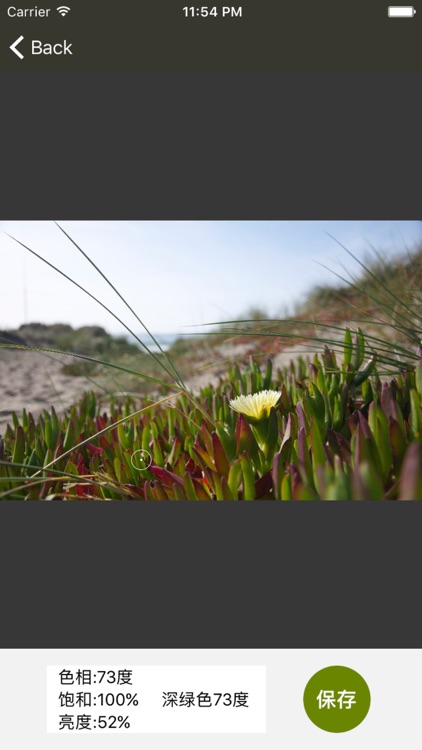 飞蚂蚁颜色名称实时取