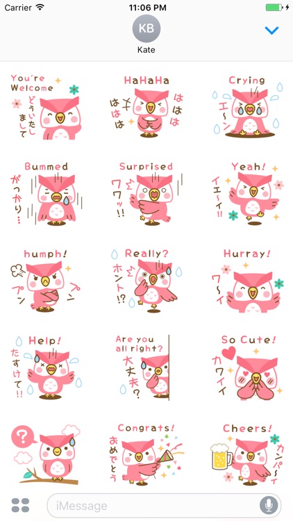 Lato The Pink Owl English Sticker