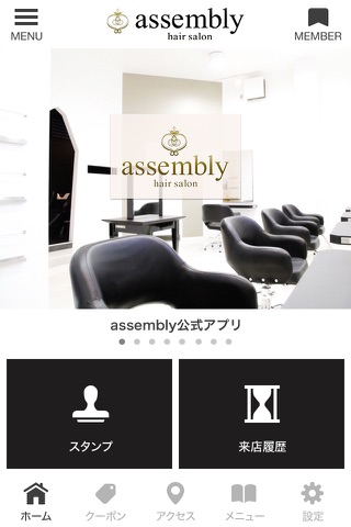 assembly - náhled