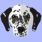 Finally a great personalised app for your Dalmatian