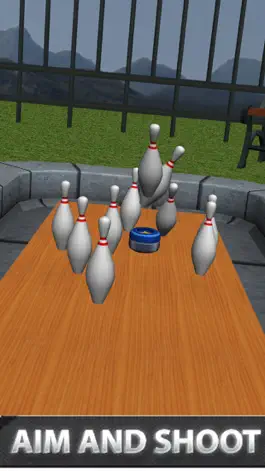Game screenshot Strike Bowling Shuffle hack