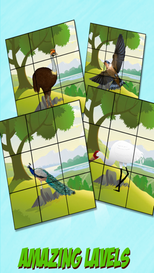 Bird Slide Puzzle Kids Game Pro(圖5)-速報App