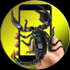 Scorpion On Hand Screen Photo