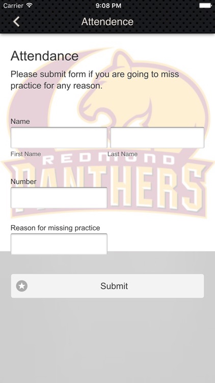 Redmond Panther Football