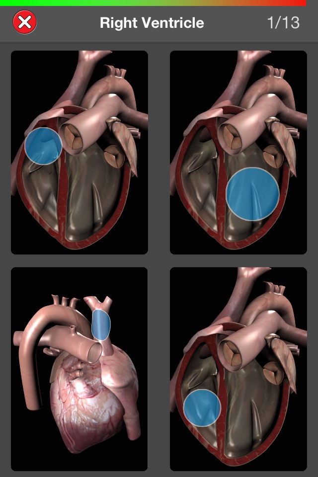 Anatomy Quiz Pro screenshot 4