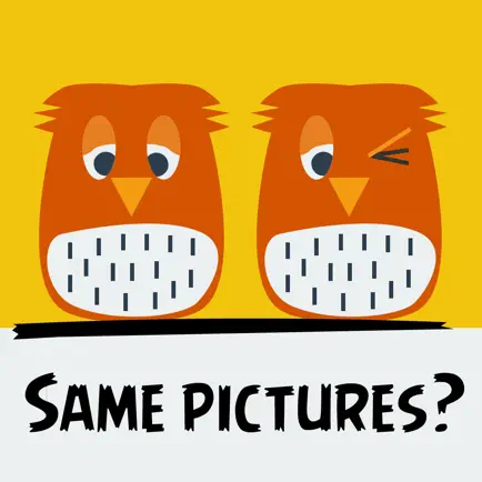Same Pictures? Читы