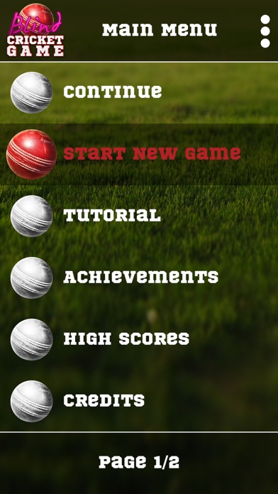Screenshot #1 pour Blind Cricket