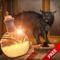 Sorcerer House Escape is a new point and click escape game