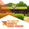 Full Guide for Disney's Animal Kingdom