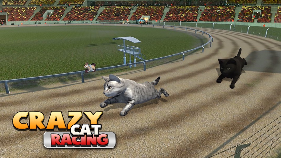 #4. Cat Racing Free Game (iOS) 由: Atif Mumtaz