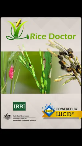 Game screenshot Rice Doctor mod apk