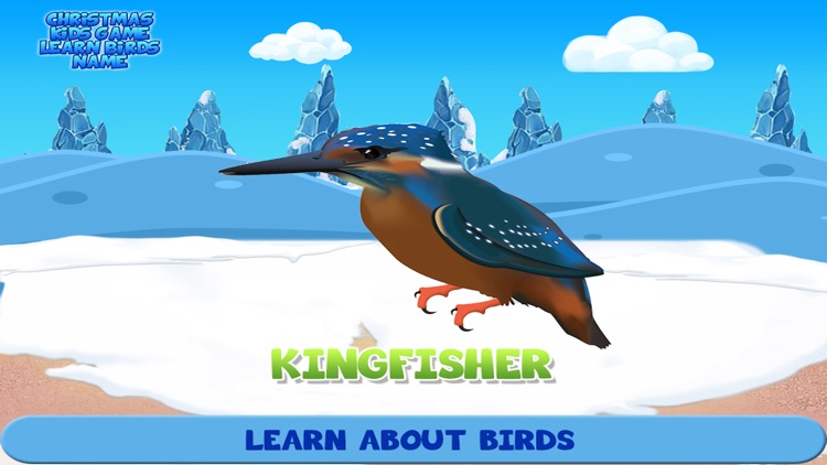 Christmas Kids Game Learn Birds Name screenshot-3
