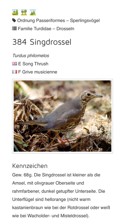 Die Stimmen der Vögel Europas (Auswahl)