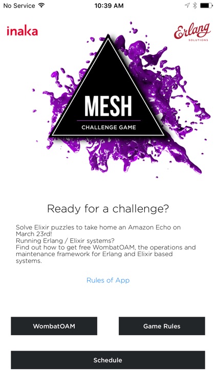 Mesh Challenge