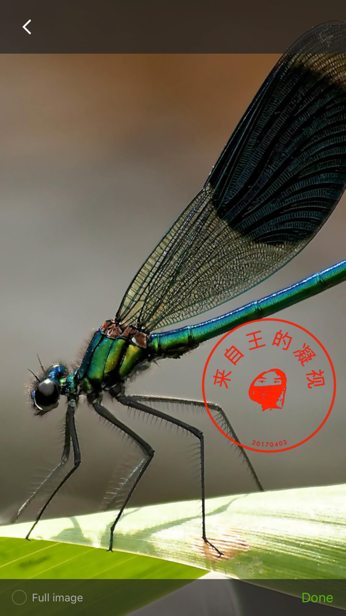 电子印章制作工具之给照片盖个章