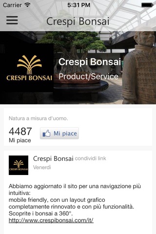 Crespi Bonsai screenshot 3
