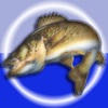 Angler Pro