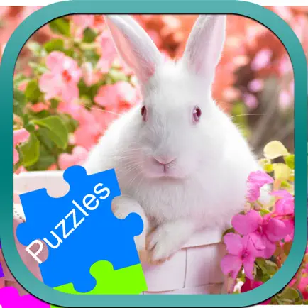 Rabbit Animal Jigsaw Puzzle Drag and Drop for Kids Cheats