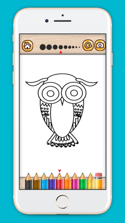 Animals Coloring Book Indian Style