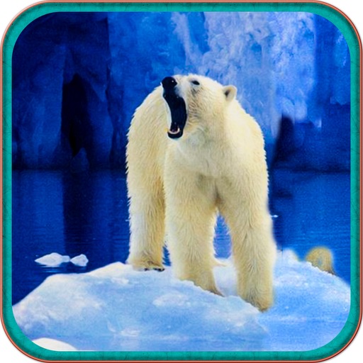 Wild Polar Bear Hunt Simulator Pro iOS App