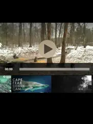 view real live animals in the wild ipad images 4
