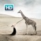Funny & Creative HD Wallpapers for everyone who likes to give New Look to their iPhone, it's time to try on a new collection of Funny Creative HD Wallpapers