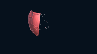 Screenshot #2 pour Virtual Reality with 3DBear